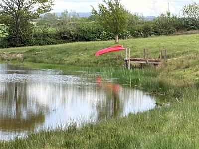 Picture 36